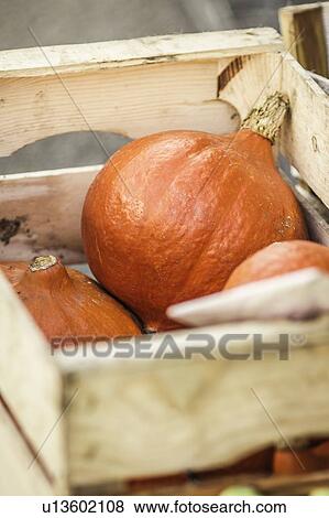 Stock Photo - Close up of pumpkins in crate. Fotosearch