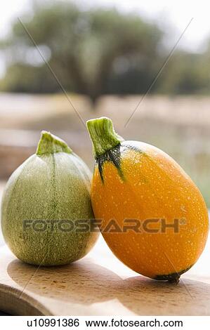 Close up of zucchini gourds View Large Photo Image Stock Photograph - Close up of zucchini gourds. Fotosearch