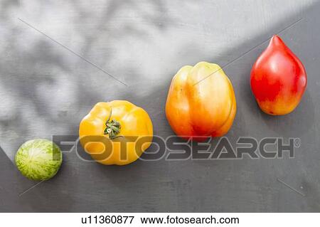 Stock Photo - Colorful varieties of tomato. Fotosearch