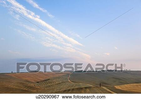 Crop fields in dusty rural landscape View Large Photo Image Stock Photo - Crop fields in dusty rural landscape. Fotosearch