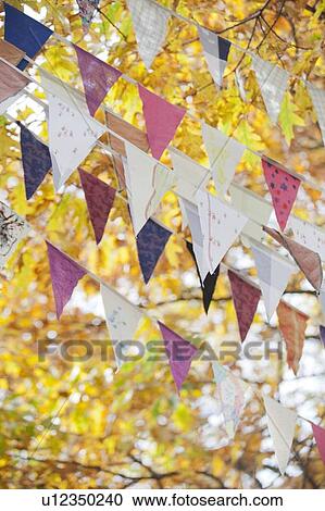 Flags flying against autumn leaves View Large Photo Image Stock Image - Flags flying against autumn leaves. Fotosearch