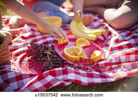 Fruit on picnic blanket in field View Large Photo Image Stock Image - Fruit on picnic blanket in field. Fotosearch