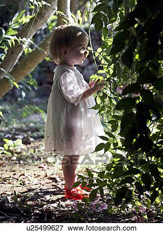 Girl playing in bushes outdoors View Large Photo Image Stock Photo - Girl playing in bushes outdoors. Fotosearch