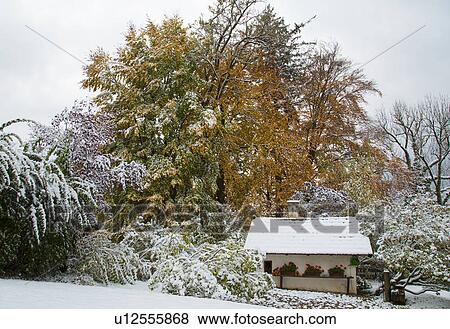 Stock Photo - House and trees in snowy landscape. Fotosearch