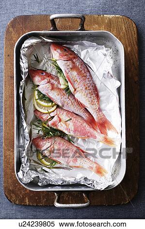 Stock Photography - Pan of mullet fish with lemon and herbs. Fotosearch