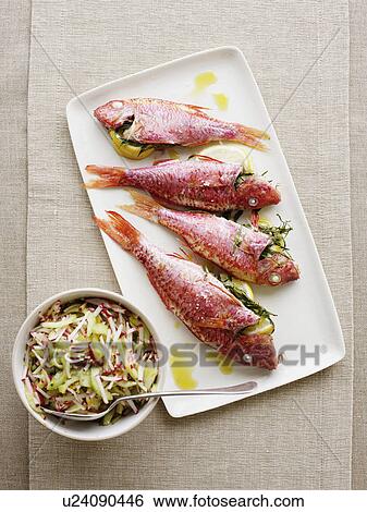 Stock Photograph - Plate of grilled millet with coleslaw. Fotosearch