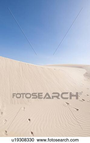 Stock Image - Sand dunes in desert landscape. Fotosearch