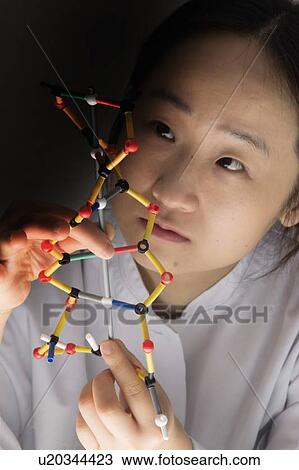 Scientist examining molecular model View Large Photo Image Stock Image - Scientist examining molecular model. Fotosearch