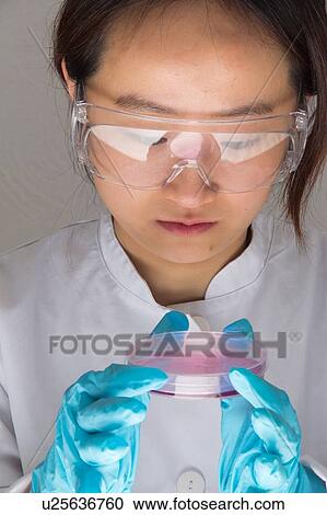 Scientist examining petri dish View Large Photo Image Stock Image - Scientist examining petri dish. Fotosearch