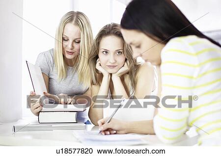 Teenage girls studying together View Large Photo Image Stock Image - Teenage girls studying together. Fotosearch