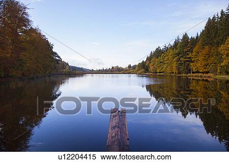 Stock Photography - Trees reflected in still rural lake. Fotosearch