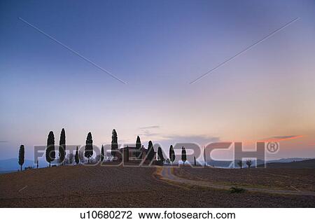 Stock Image - Tuscan cypress trees growing on hill. Fotosearch