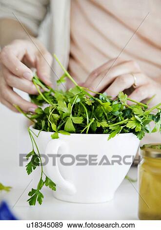 Woman putting fresh herbs in bowl View Large Photo Image Stock Photo - Woman putting fresh herbs in bowl. Fotosearch