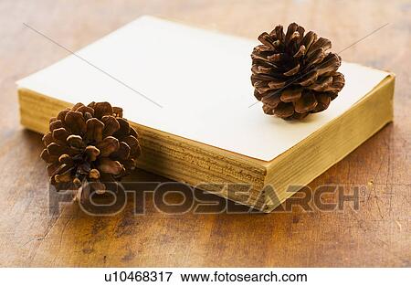 Stock Photo - Antique book and pine cones. Fotosearch