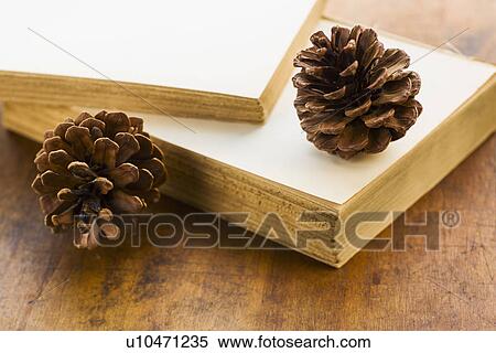 Antique book and pine cones View Large Photo Image Stock Photography - Antique book and pine cones. Fotosearch