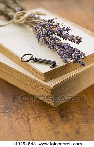 Antique book with key and lavender View Large Photo Image Stock Photo - Antique book with key and lavender. Fotosearch