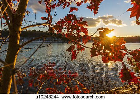 Autumn leaves View Large Photo Image Picture - Autumn leaves. Fotosearch