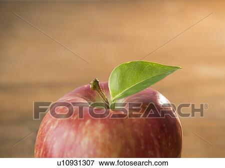 Close-up of apple View Large Photo Image Stock Photo - Close-up of apple. Fotosearch