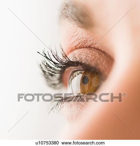 Stock Image - Close-up of brown eye. Fotosearch
