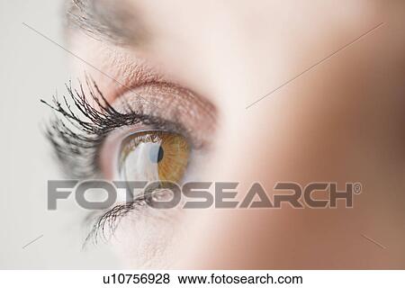 Stock Photo - Close-up of brown eye. Fotosearch