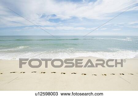 Footprints on empty beach View Large Photo Image Stock Image - Footprints on empty beach. Fotosearch