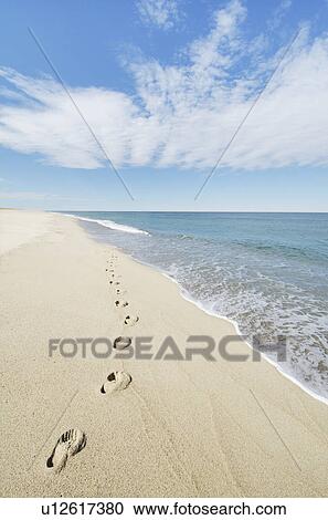 Footprints on sandy beach View Large Photo Image Stock Image - Footprints on sandy beach. Fotosearch