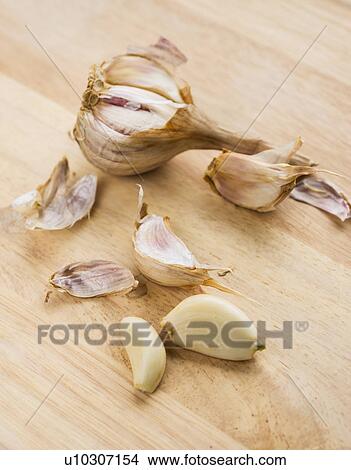 Garlic View Large Photo Image Picture - Garlic. Fotosearch