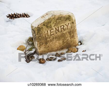 Stock Photo - Grave of henry david thoreau. Fotosearch
