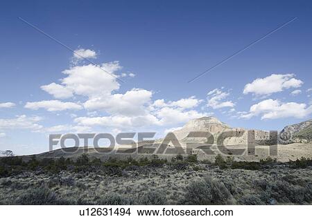 Landscape with Rocky Mountains in background View Large Photo Image Picture - Landscape with Rocky Mountains in background. Fotosearch