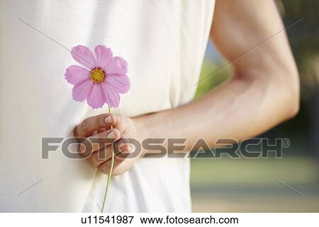 Stock Photo - Man holding flower behind back. Fotosearch
