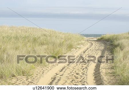Path with tyre track View Large Photo Image Stock Image - Path with tyre track. Fotosearch