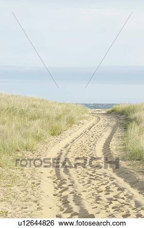 Path with tyre track View Large Photo Image Stock Photograph - Path with tyre track. Fotosearch