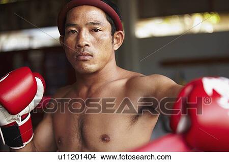 Portrait of mid adult male boxer in fighting stance View Large Photo Image Picture - Portrait of mid adult male boxer in fighting stance. Fotosearch