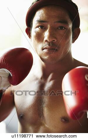 Portrait of mid adult male boxer in fighting stance View Large Photo Image Stock Image - Portrait of mid adult male boxer in fighting stance. Fotosearch