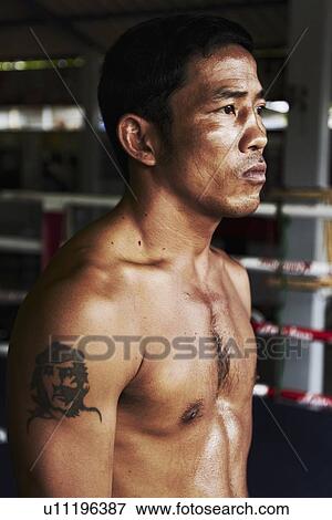 Portrait of mid adult male boxer View Large Photo Image Stock Photo - Portrait of mid adult male boxer. Fotosearch