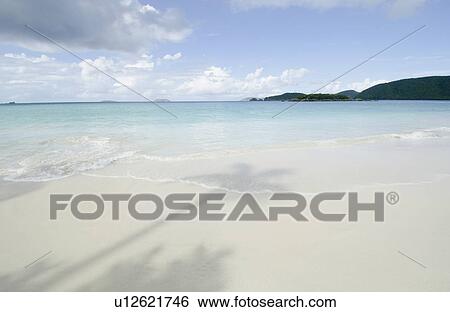 Shadow of palm trees on sandy beach View Large Photo Image Stock Photograph - Shadow of palm trees on sandy beach. Fotosearch