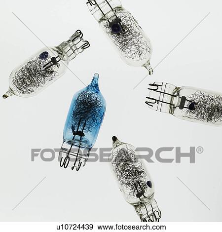 Stock Photo - Studio shot of old light bulbs. Fotosearch