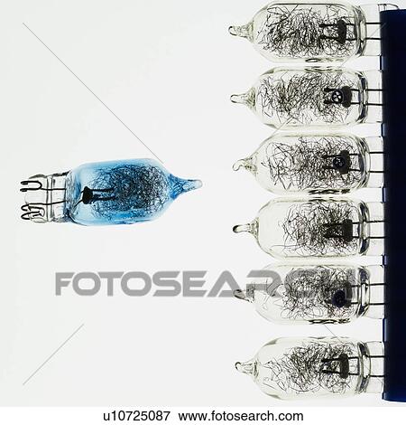 Studio shot of old light bulbs View Large Photo Image Stock Photo - Studio shot of old light bulbs. Fotosearch