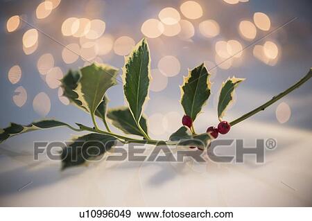 Stock Photo - Studio Shot. Fotosearch