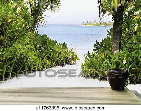 Stock Photograph - Tropical beach. Fotosearch