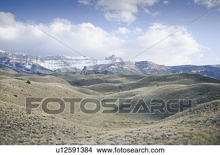 View of Shoshone National Forest with Rocky Mountains in background View Large Photo Image Picture - View of Shoshone National Forest with Rocky Mountains in background. Fotosearch