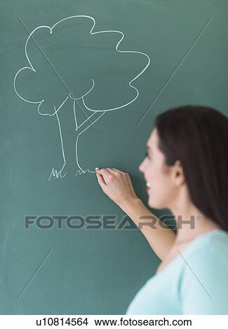 Picture - Woman drawing tree on blackboard. Fotosearch