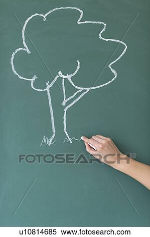 Woman drawing tree on blackboard View Large Photo Image Stock Photography - Woman drawing tree on blackboard. Fotosearch
