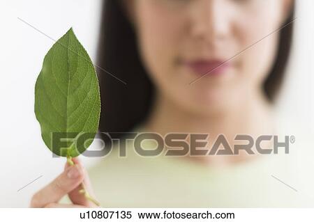 Stock Photography - Woman holding green leaf. Fotosearch