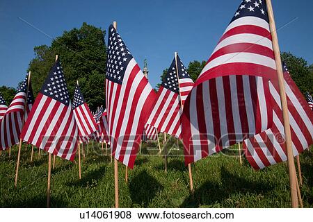 Stock Photo - 20, 000 American Flags, Boston Common, Memorial Day, 2012, Boston, MA. Fotosearch