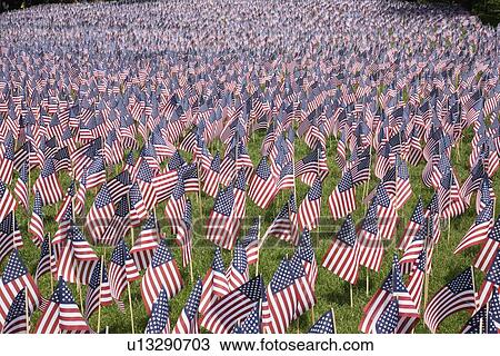 20, 000 American Flags for Memorial Day, Boston Commons, Boston, MA View Large Photo Image Stock Image - 20, 000 American Flags for Memorial Day, Boston Commons, Boston, MA. Fotosearch