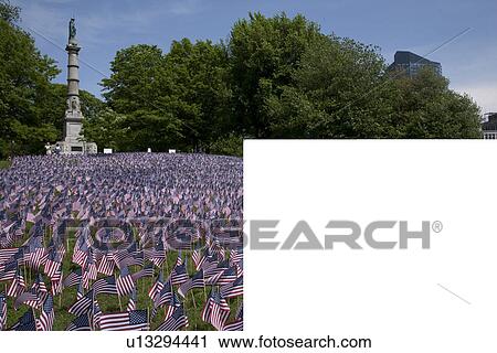 20, 000 American Flags for Memorial Day, Boston Commons, Boston, MA View Large Photo Image Stock Image - 20, 000 American Flags for Memorial Day, Boston Commons, Boston, MA. Fotosearch
