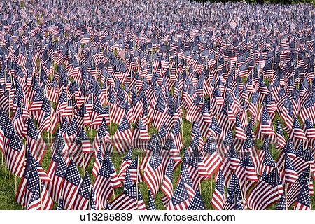 000 American Flags For Memorial Day Boston Commons Boston Ma Stock Photo U Fotosearch