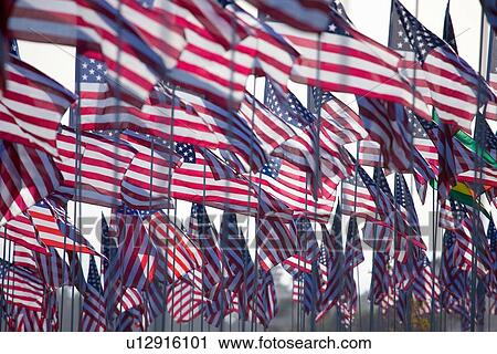 3000 US Flags for 9/11 View Large Photo Image Stock Image - 3000 US Flags for 9/11. Fotosearch