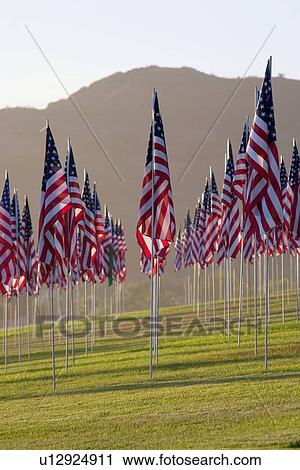 3000 US Flags for 9/11 View Large Photo Image Stock Image - 3000 US Flags for 9/11. Fotosearch